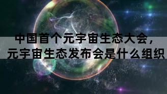 中国首个元宇宙生态大会，元宇宙生态发布会是什么组织