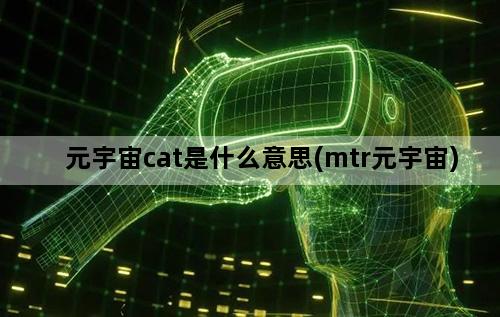 元宇宙cat是什么意思(mtr元宇宙)