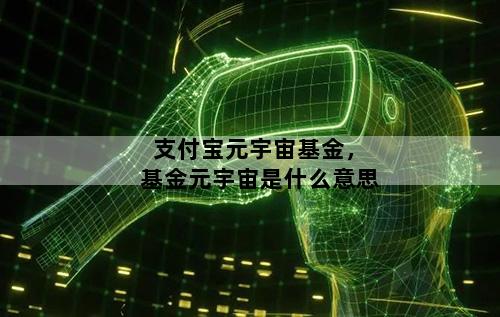 支付宝元宇宙基金，基金元宇宙是什么意思